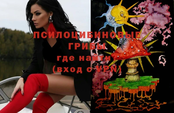 прущий лед Нея