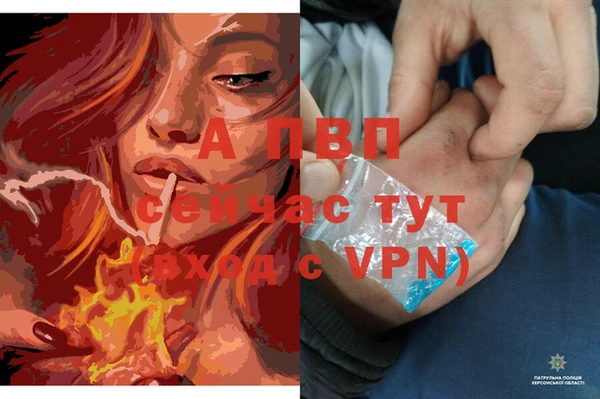 ALPHA-PVP Новозыбков