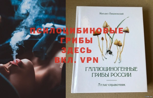 молекула духа Новокубанск
