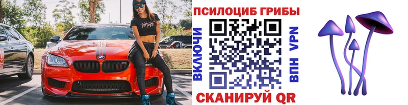 Псилоцибиновые грибы прущие грибы  купить наркоту  Пугачёв 
