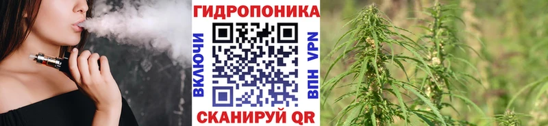 Шишки марихуана MAZAR  магазин продажи   Пугачёв 